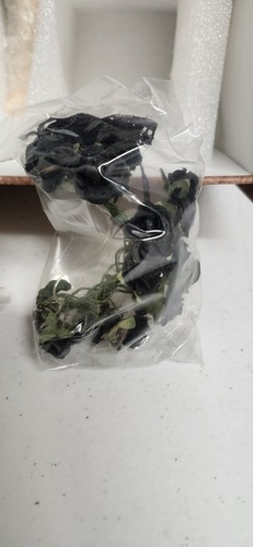 Tonner Phyn & Aero 16" Annora Monet Strength Of Character Doll LE/100 NRFB - Bild 5 von 16