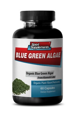 Klamath Lake Antioxidant - Organic Blue Green Algae 500mg - 1 Bottle 60 Capsules