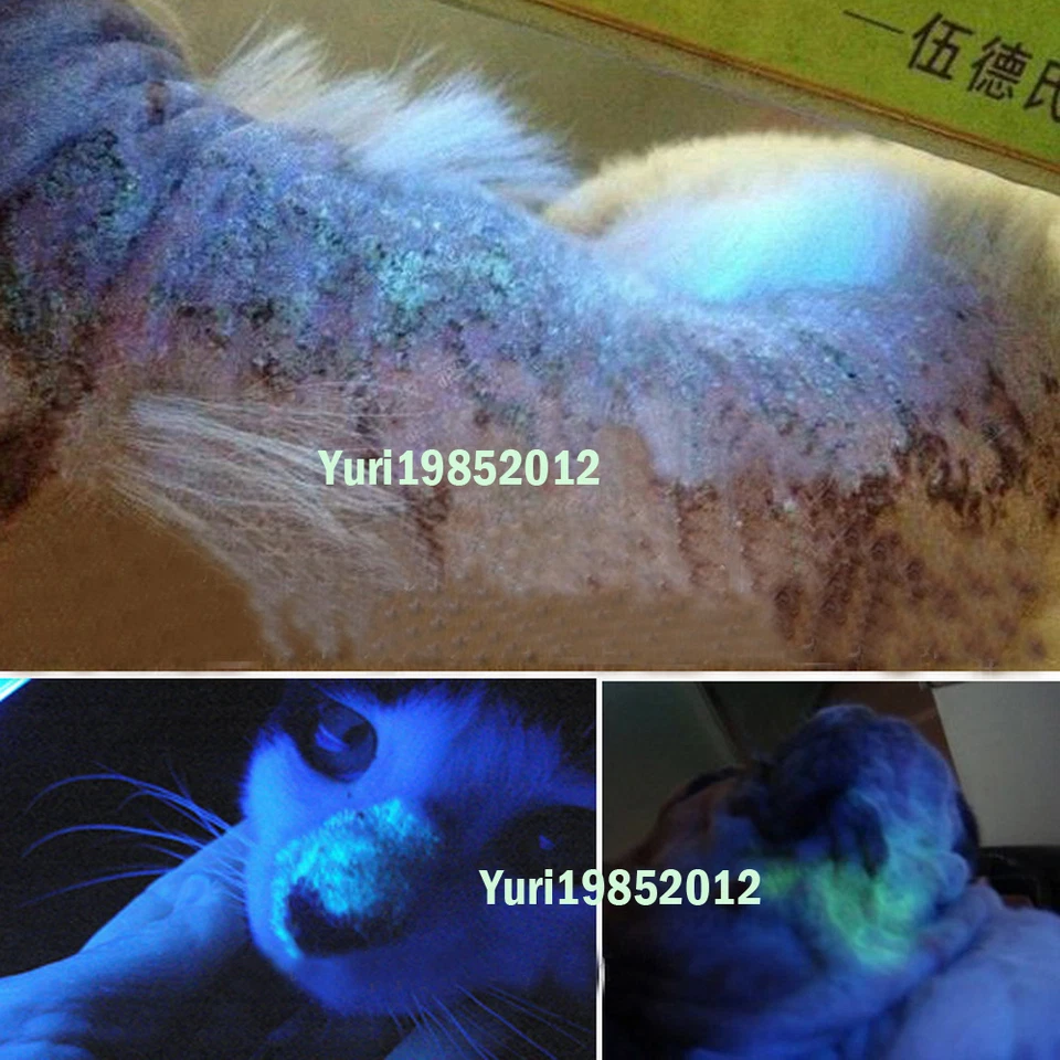 Nueva lámpara de madera detector de tiña para el cuidado de la piel de gatito mascotas gatos gatitos Foto 2 de 4