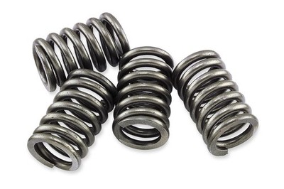 EBC CSK131 CSK Clutch Spring Kit