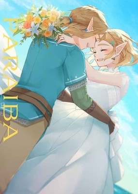 The Legend of Zelda Doujinshi Art Illustration Book - Full Color 36p B5 SFW PG