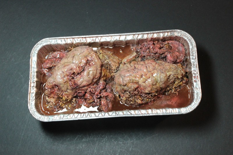 CREEPY CUISINE ROAD-KILLED ANIMAL BRAINS AND ENTRAILS HORROR HALLOWEEN PROP