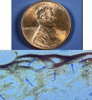 2021-P Lincoln Shield Cent Die Crack Error Through Hair. LCD-004