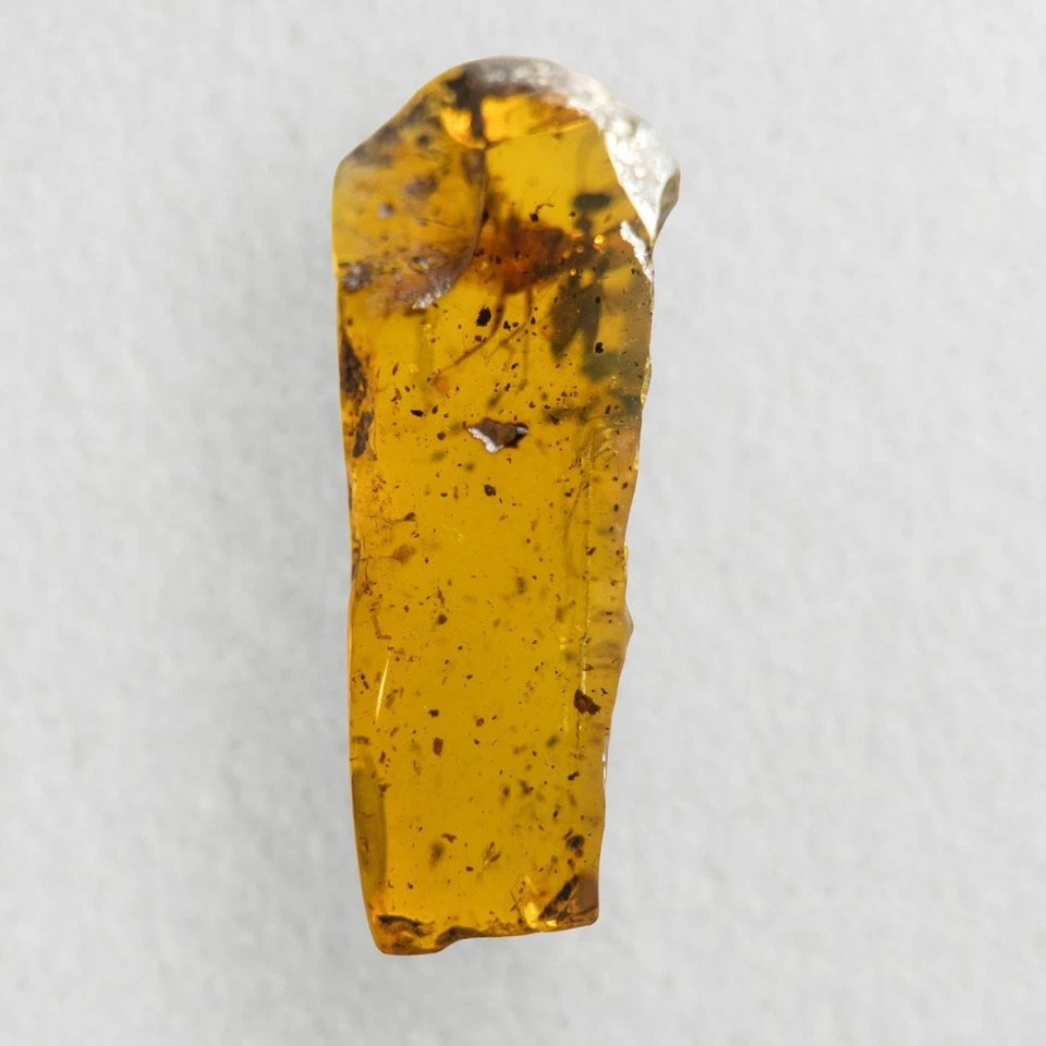 UNKNOWN INCLUSION in Burmese / Burmite amber fossil / 100% genuine amber  - Image 4 of 4
