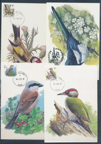XE59650 Belgium 1997 -2005 Buzin birds maxicards used