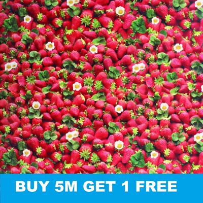 Premium Erdbeere Obst Blumen abwischbares Vinyl Wachstuch PVC Tischschutz
