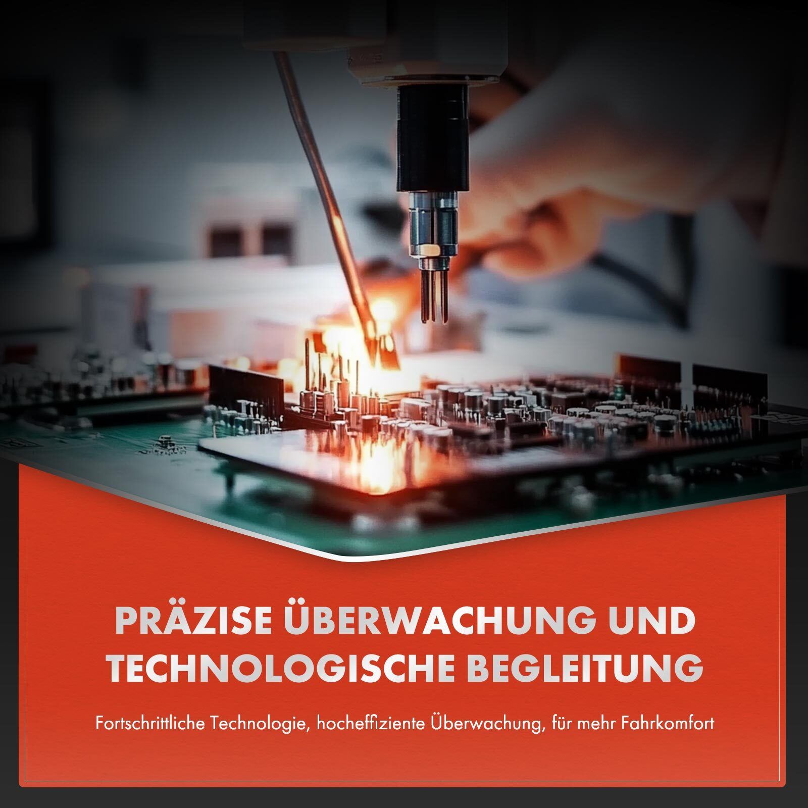 Bild 7 von 8