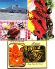 MAINE LOBSTER (3) Mint Continental Chrome Postcards Lot #4