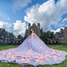 Ball Gown Off Shoulde RQuinceanera Dresses Applique Puffy Sweet 16 Prom Party