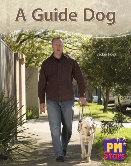 PM Blue: A Guide Dog (PM Stars) Levels 9, 10, 11, 12 - Image 2
