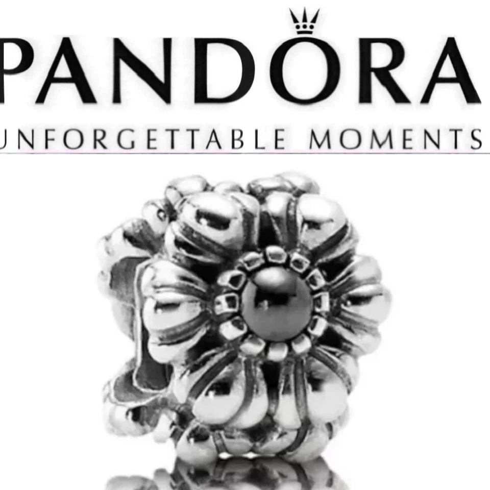 Pandora retirado plata esterlina hematita marzo cumpleaños flor abalorio 790580HEM Foto 2 de 4