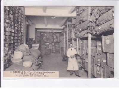 PARIS: 75010 H. Pichon Fancy Feathers Manufacturers (fabricant de plumes fanta