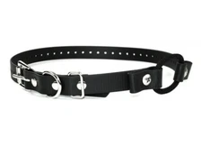 E-Collar 3/4" Bungee Dog Collar Replacement Strap - 9 Colors - 33" Lg.