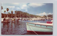 Central Yacht Basin, Waterfront Park & Vinoy Hotel in St. Petersburg FL Postcard