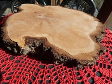 baumscheibe couchtisch beistelltisch deko birke