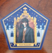 Harry Potter Chocolate Frog Cards Pentagonal Holographic Set Wizarding World