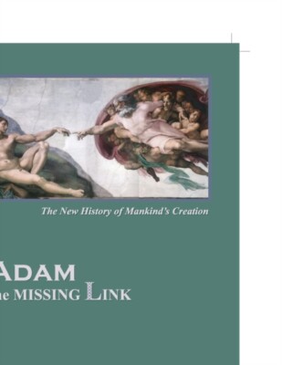 Klarfeld - Adam the Missing Link - New paperback or softback - X555z
