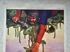 Foto 5 di 14