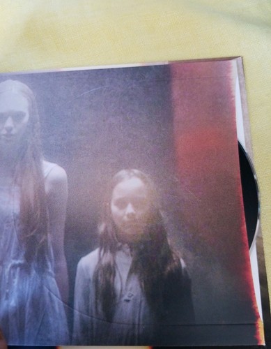 HAUNTED For Your Emmy Consideration Netflix FYC DVD 4 Episodes Season 1 New - Picture 3 of 3