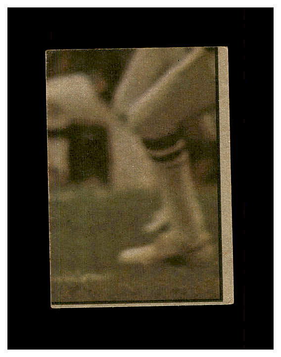Picture 421 of 457