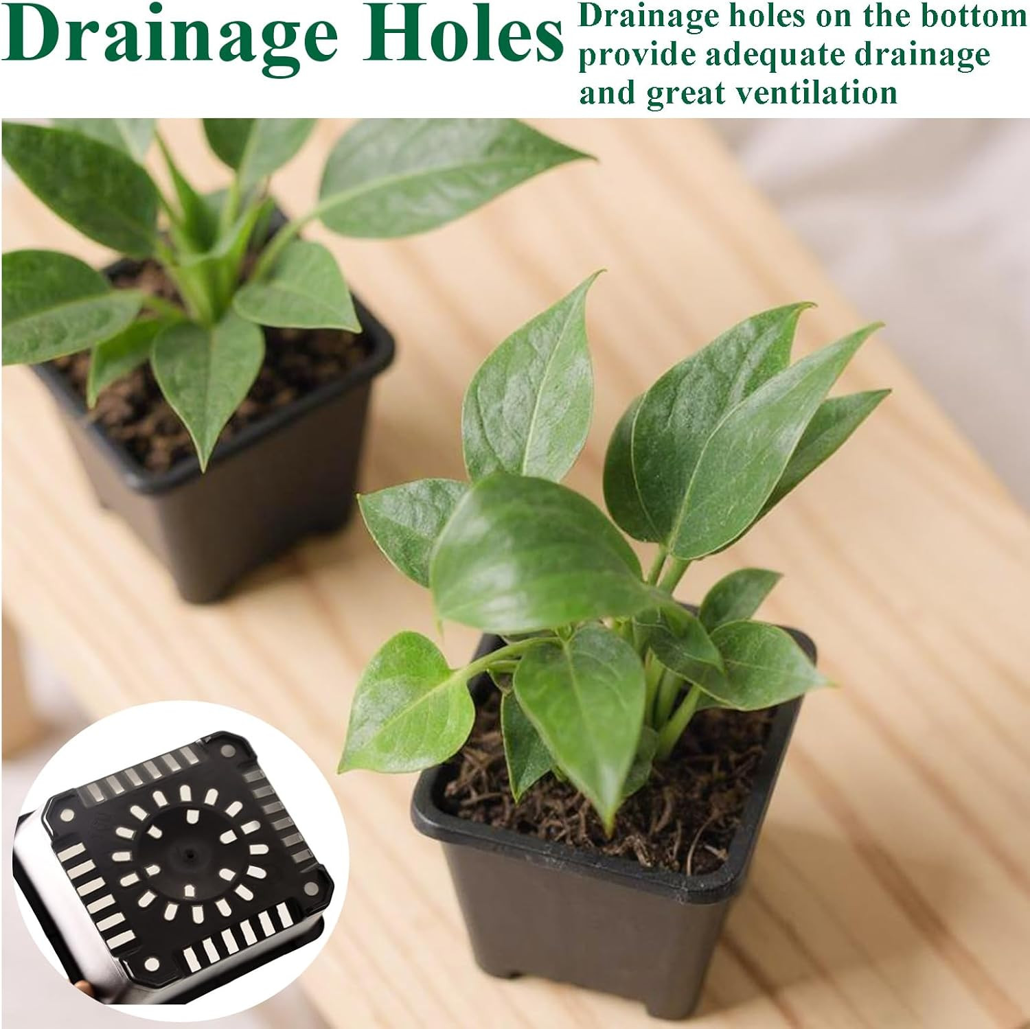 25 Packs Square Nursery Pots for Plants 3.5 Inch Succulent Plant Pots Set Plasti