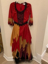Autumn Harvest Witch Costume by Halloween Costumes -Premium- Women's Size Small