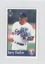 1995 Fleer/Panini Album Stickers Larry Walker #75 HOF 0a1