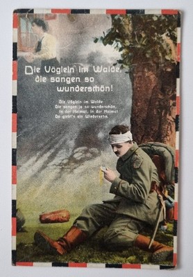 Postcard - color litho - patriotic - ''The birds in the forest that sang'' - WW1 - 1917