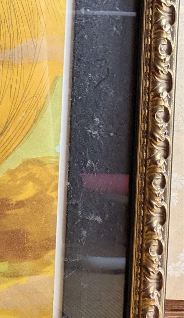 yoshi24 ピン2点 Self portrait 📷 LUMIX S1RⅡ SIGMA 28-105mm f2.8 art NANLITE