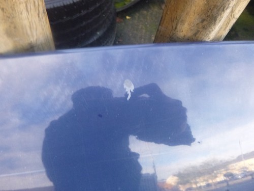 FORD TRANSIT MK7 BONNET 2007 - 2013 BLUE - Picture 2 of 4