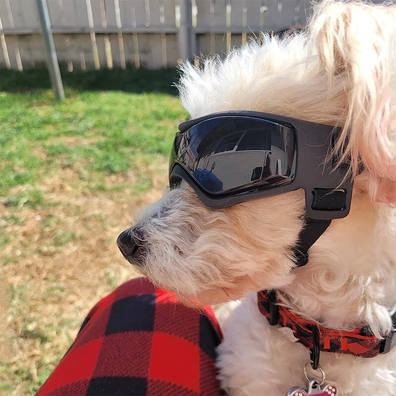 Fashion Cool Pet Dog Glasses UV Protection Soft Frame Dog