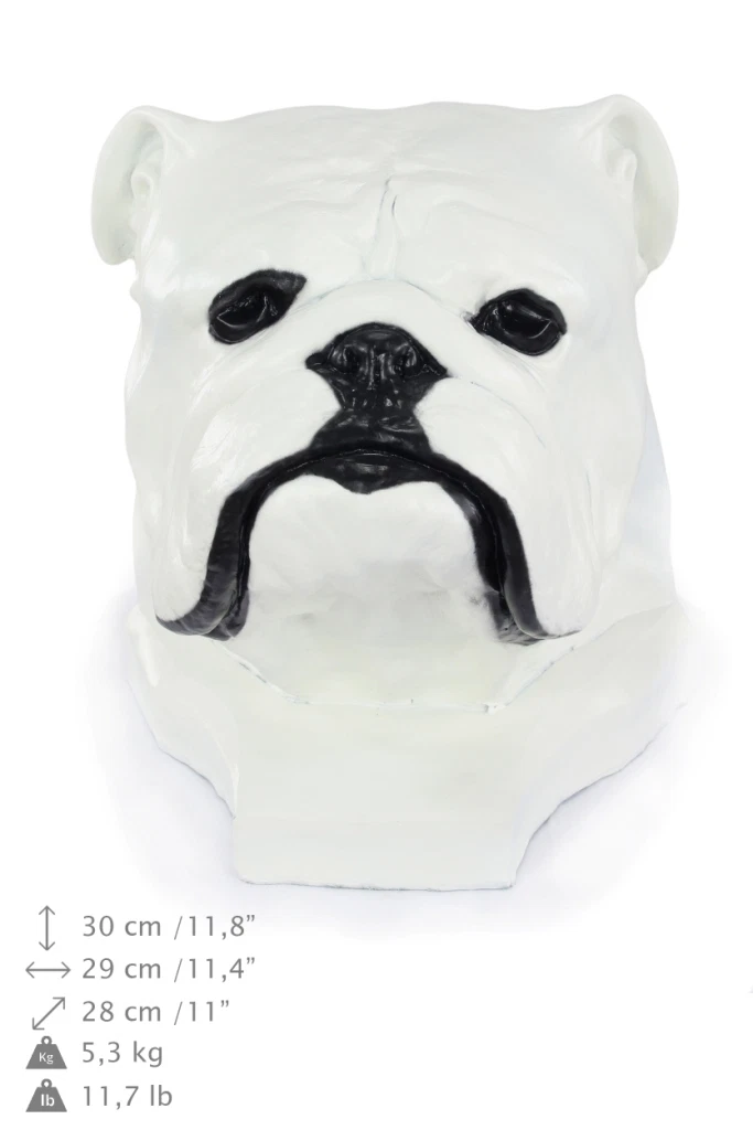 English Bulldog White Large Head Resin Type Dog eBay