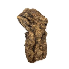 Paela/Chakte Viga Burl Cap/Bowl 21" x 9" x 4" | 22 lbs  #806