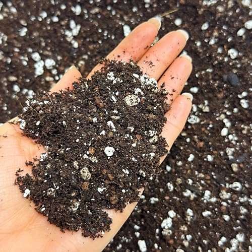Bonsai Soil Mix with Mycorrhizal Fungi, Mealworm Frass &  Assorted sizes