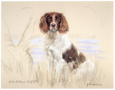 ENGLISH SPRINGER SPANIEL ESS DOG ART LIMITED EDITION PRINT - By the ...