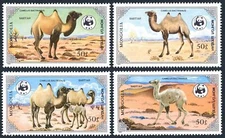 Mongolia 1443-1446, hinged. Michel 1707-1710. WWF 1885. Camelus Bactrianus.