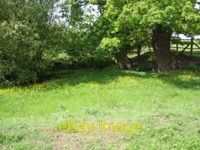 Photo 6x4 Old Moat Tathall End The remnants of an old moat is still able  c2007