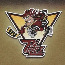1991-92 Peterborough Petes Hockey Police P.L.A.Y. Trading Cards RARE!!!