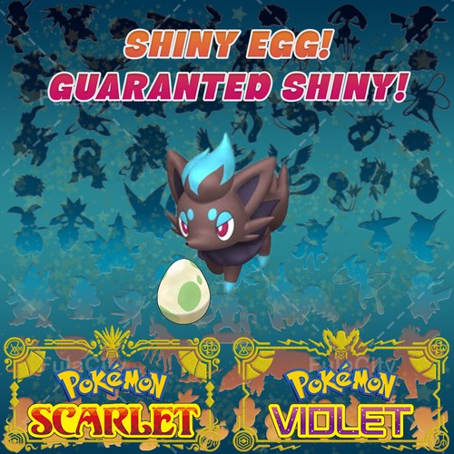 ZORUA POKEMON SCARLET VIOLET ✨ SHINY EGG 6 IV ✨ CUSTOM AVAILABLE ✨