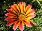 Bild 4 von 8