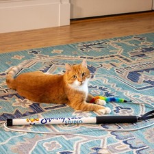 Squishy Face Studio Tough Teaser Interactive Chase Exercise Wand Toy w/ 2 Lures