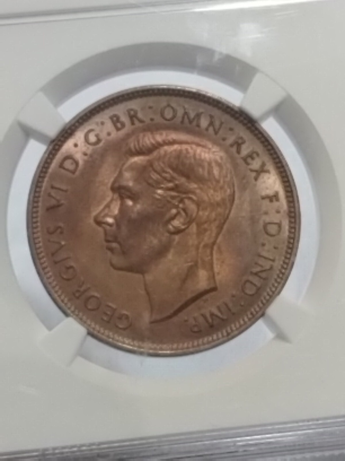Picture 1 of 19