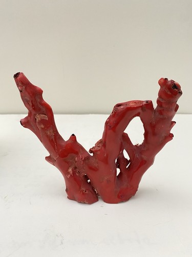 GROSSER roter Zweig ECHTE Koralle freie Form Statue Skulptur A