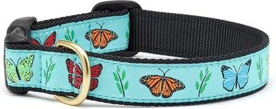 Up Country Butterfly Effect Dog Collar, Small (9 to 15 inches) 5/8 inch