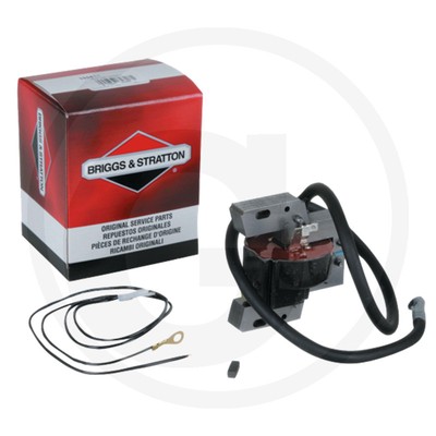 Briggs u. Stratton   | 398811 | 024847828061