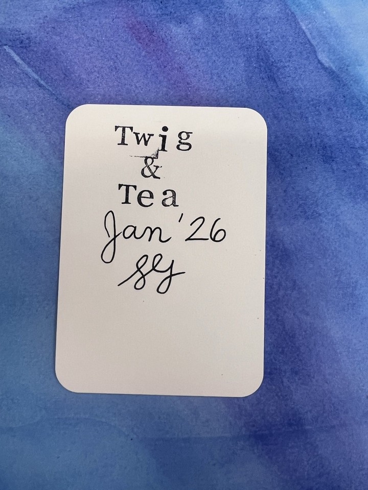 Original ACEO Bird Art Card Pen & Ink Drawing Folk Whimsical Mini OOAK ...