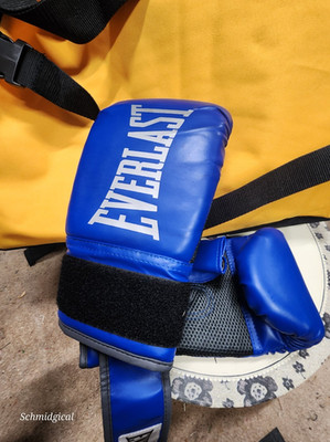 Everlast Sparring Boxing Gloves 12 oz L/XL | Blue/Black/Gray Pair