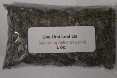 1 oz. Uva Ursi Leaf c/s (Arctostaphylos uva ursi)
