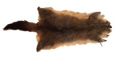 Brush-tail Possum, Dressed - Soft Plush Fur - Natural Color