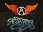 1976 Original Vintage Aerosmith Concert V-Neck  Tee-shirt - MSG 12/17/76 — photo 6